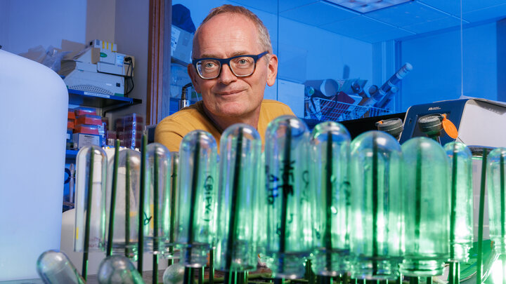 Janos Zempleni peers over upside-down test tubes in a lab.