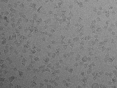  macromolecules